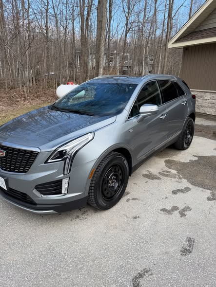 Luxury car detailed